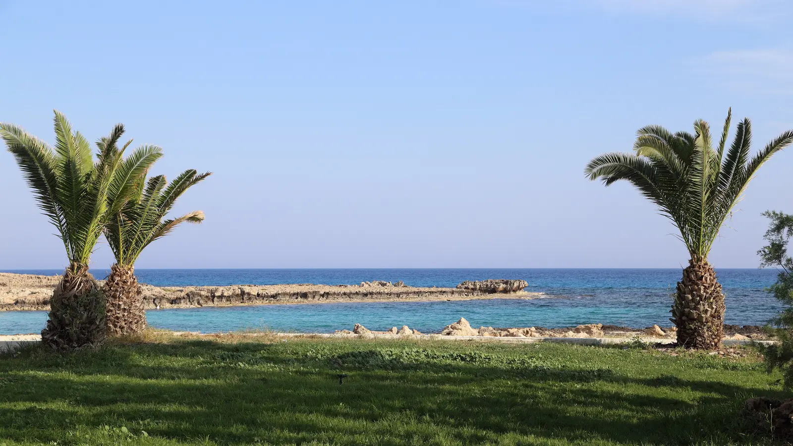 Ayia Napa'da Nissi Plajı yakınında palmiyeler ve turkuaz deniz