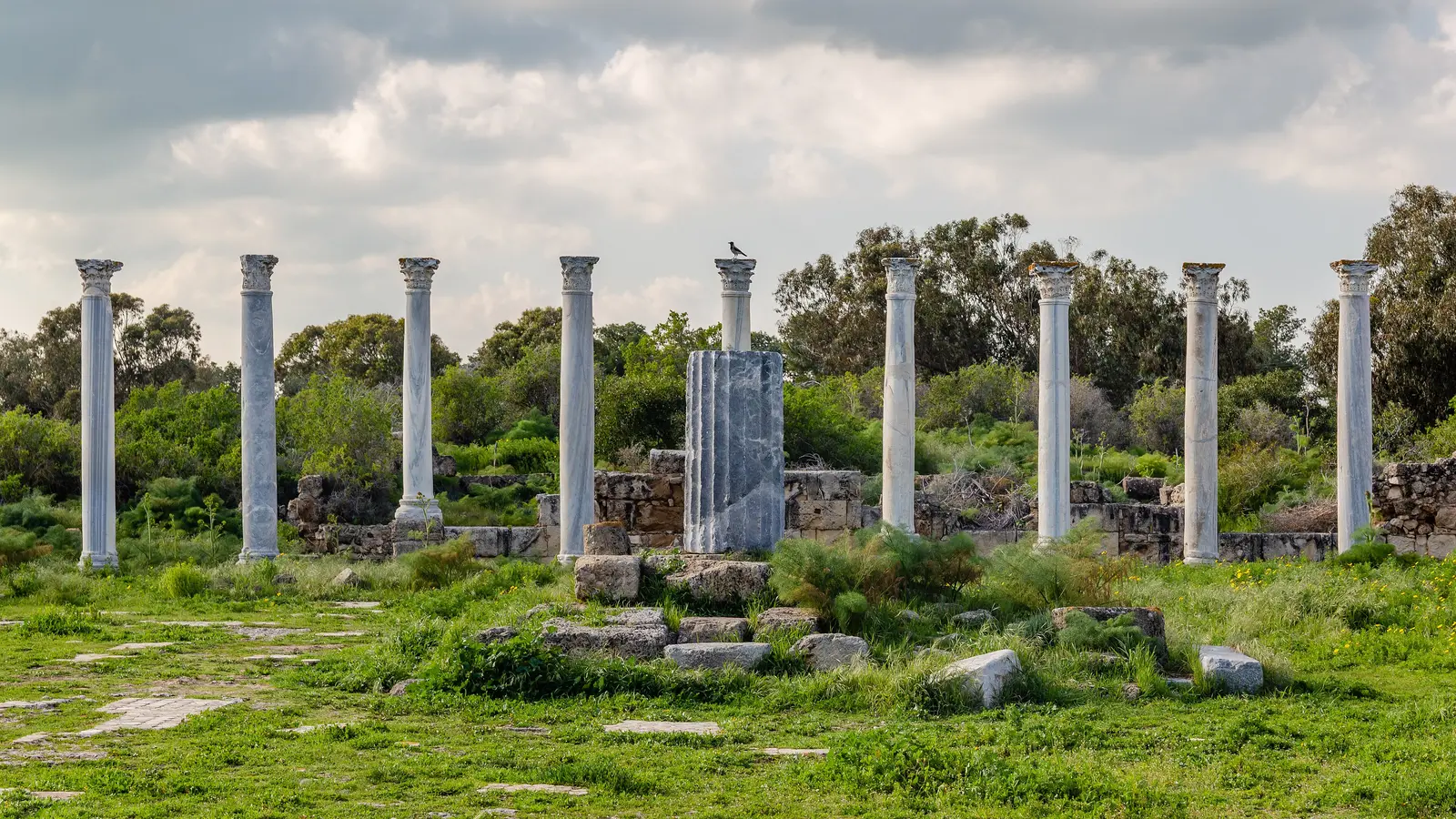 Salamis Antik Kenti'nde Roma dönemi gimnazyumunun ayakta kalan mermer sütunları